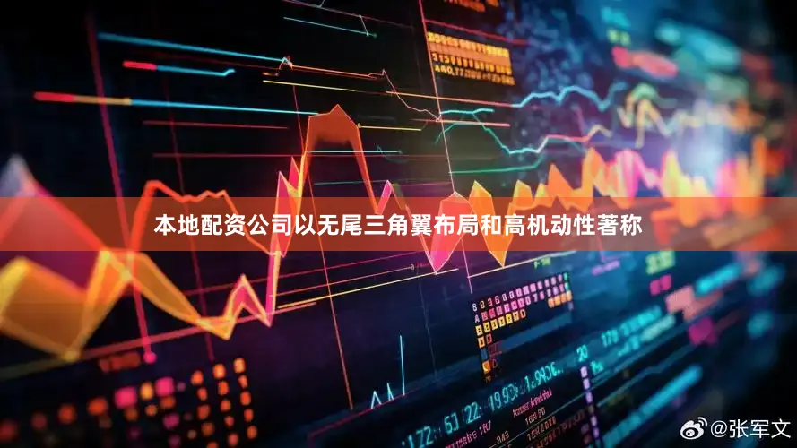 本地配资公司以无尾三角翼布局和高机动性著称