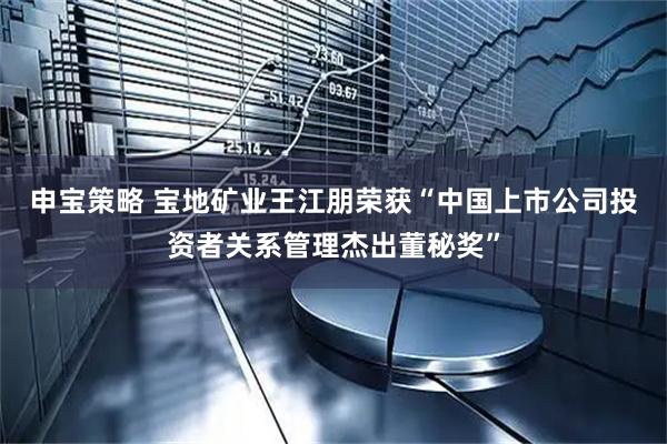 申宝策略 宝地矿业王江朋荣获“中国上市公司投资者关系管理杰出董秘奖”