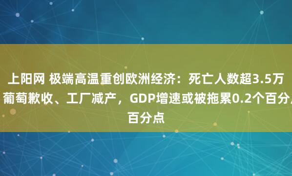 上阳网 极端高温重创欧洲经济：死亡人数超3.5万，葡萄歉收、工厂减产，GDP增速或被拖累0.2个百分点